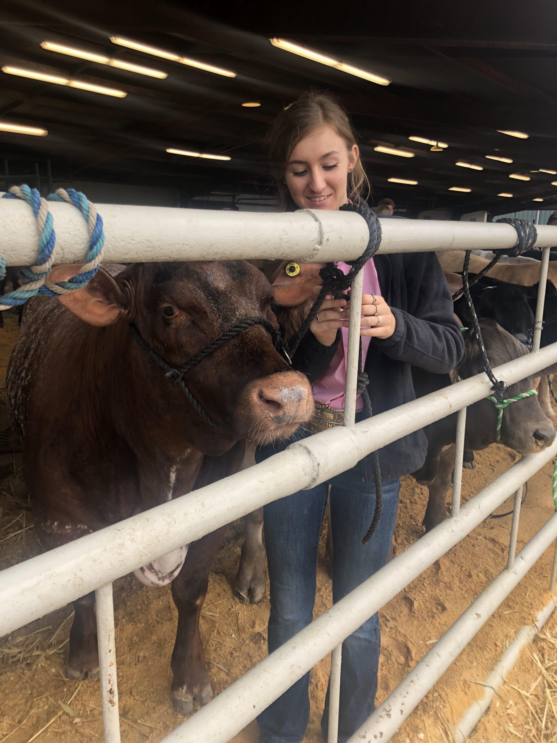 It’s Showtime! Guadalupe County Youth Show currently underway, auction